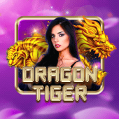 Dragon Tiger at PH365APP